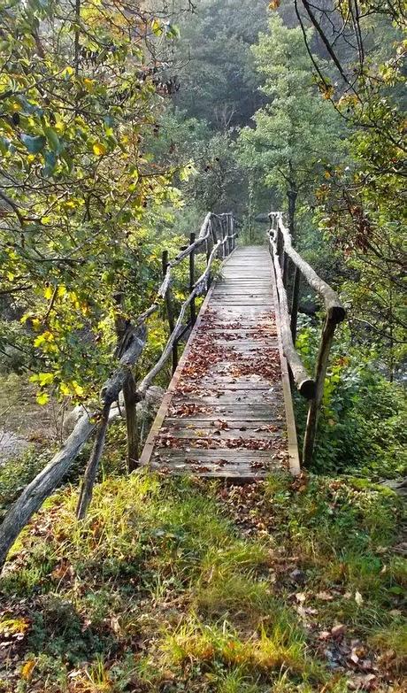 Sabato 4 ottobre: Il Tobbio da Molini di Fraconalto (AL)