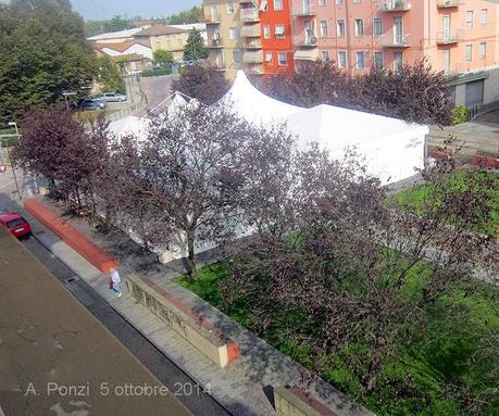 Delitto in Piazza Grandi