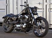 Harley Sportster Land Rough Crafts