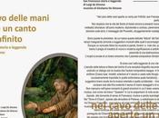 Zoppo... perde Girolamo Simone Konsequenz Galleria Toledo