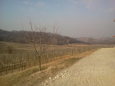 Incontro con Azienda Agricola