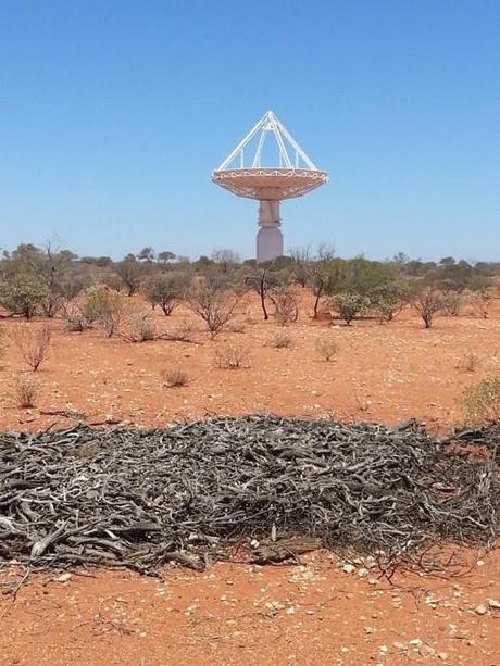 Australian SKA Pathfinder presso il Murchinson Radio Observatory in Western Australia. Crediti: INAF