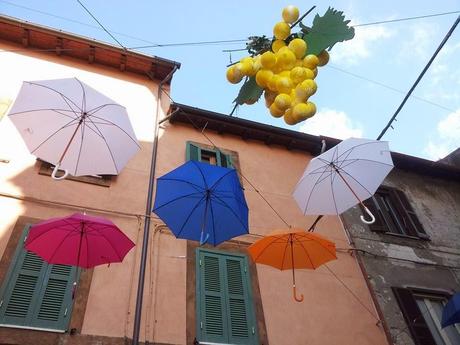 Viaggi e Sapori - Festa del Vino