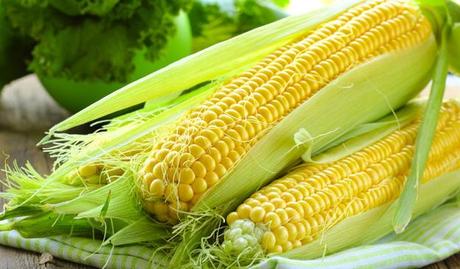 proprietà benefiche proprietà antitumorali proprietà antiossidanti mais cereali aumento di peso 