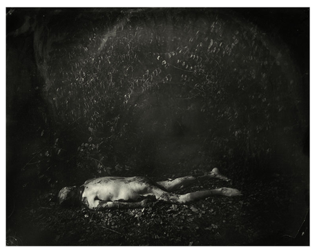 Sally-Mann-Body-Farm-5