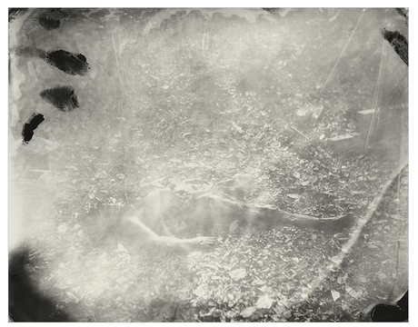 Sally-Mann-Body-Farm-4