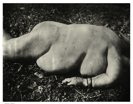 Sally-Mann-Body-Farm-1