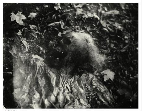 Sally-Mann-Body-Farm-2