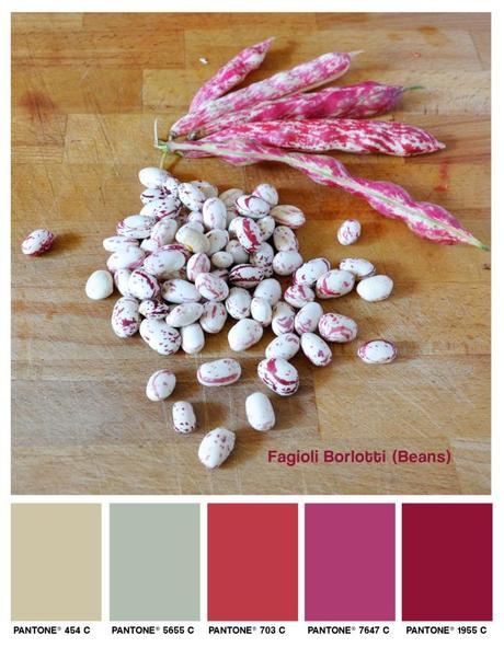 lacaccavella,fagioli, fagioli borlotti, borlotti, beans, red beans, colors, colori, foodcolors, pantone, palette, rosa, rose,fucsia