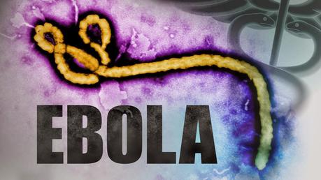 Detrattori del Metodo Di Bella udite udite: Melatonina potenziale trattamento per l'Ebola!