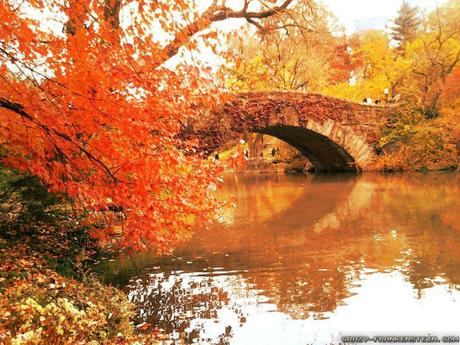 autumn-in-new-york-wallpapers-1024x768