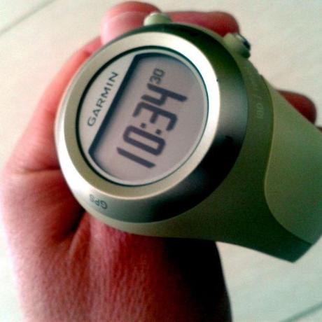 Garmin Forerunner 405