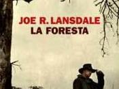 Foresta [ROMA]