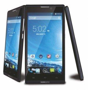 Hannspree presenta un nuovo smartphone e un tablet Android 300x307 Hannspree presenta un nuovo smartphone e un tablet Android tablet smartphone news  tablet android smartphone android hannspree 