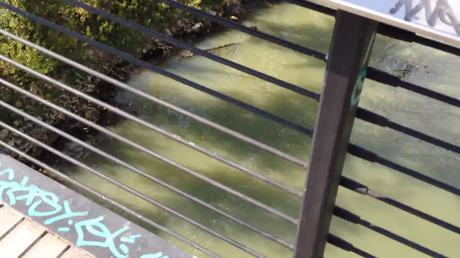 Video. Accampamenti, graffiti, verde abbandonato, strade dissestate. Il disastro del Ponte della Scienza
