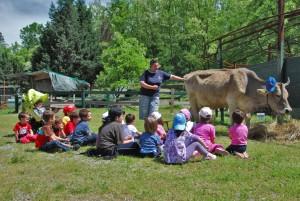 IL 12 ottobre un'occasione imperdibile per le famiglie che potranno visitare ben 12 fattore aperte in Emilia Romagna