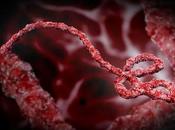virus Ebola approdato Europa
