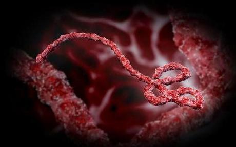 Il virus Ebola è approdato in Europa