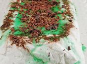 Semifreddo menta cioccolato Mint cream frozen cake with chocolate chips