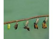 AGILE: Prontezza cambiamento