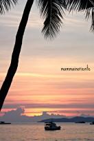 Vivere in parallelo fra realtà e fotografia nei miei #365giornidiThailandia