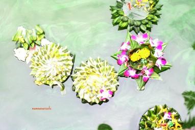 Vivere in parallelo fra realtà e fotografia nei miei #365giornidiThailandia