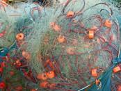 Vivere in parallelo fra realtà e fotografia nei miei #365giornidiThailandia