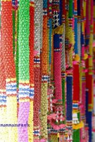 Vivere in parallelo fra realtà e fotografia nei miei #365giornidiThailandia