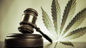 CANNABIS E’ ILLEGALE