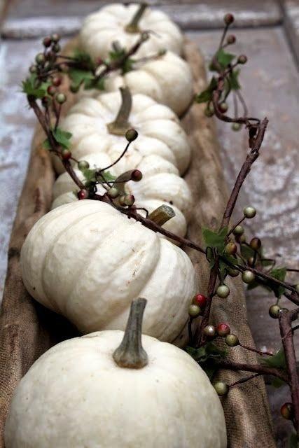 Zucche bianche come decorazione autunnale.