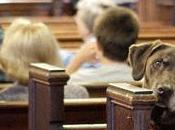 Fogo, forbici, formicolone, fortunato come cani chiesa Parole verbi disuso