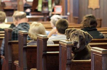 Fogo, forbici, formicolone, fortunato come i cani in chiesa | Parole e verbi in disuso