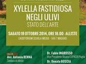 Sabato ottobre 2014, alle 18.00, presso l'Auditorium della Scuola Media, Maggio, Alliste
