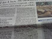 Export trentino export veneto?