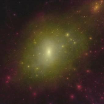 Simulazione al computer di una galassia a spirale simile alla Via Lattea, con l’alone di materia oscura che l’avvolge. Si scorgono “nodi” di materia oscura dove si dovrebbero trovare molte piccole galassie satellite, fatto che nella realtà della nostra galassia non viene osservato. Se ci fosse molta meno materia oscura, come suggerisce il nuovo studio, allora i conti tornerebbero di più. Crediti: Chris Power e Rick Newton, ICRAR