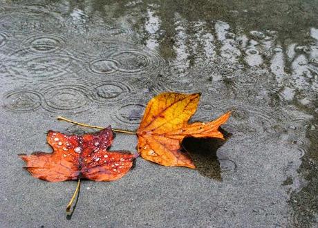 Autunno si, ma in allegria!