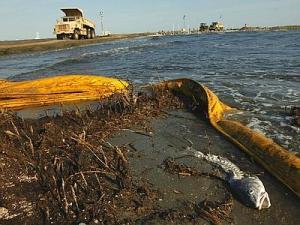 GOLFO DEL MESSICO - Ecosistema distrutto grazie umanità