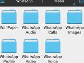 WhatsApp: chiamate VoIP sempre vicine?