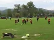 (VIDEO) bella sgroppata sulla fascia l'epic fail dietro l'angolo..