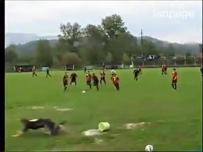 (VIDEO) Una bella sgroppata sulla fascia ma l'epic fail è dietro l'angolo..