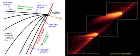 Schema di una coda cometaria