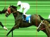 L'ipocrisia della cosiddetta "trasparenza"