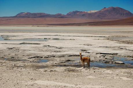 Bolivia