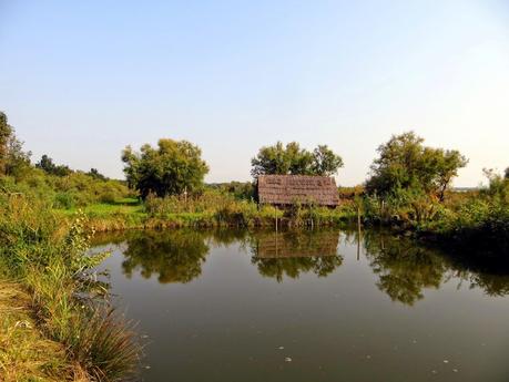 oasi wwf valle averto laguna di venezia