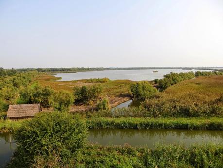 oasi wwf valle averto laguna di venezia