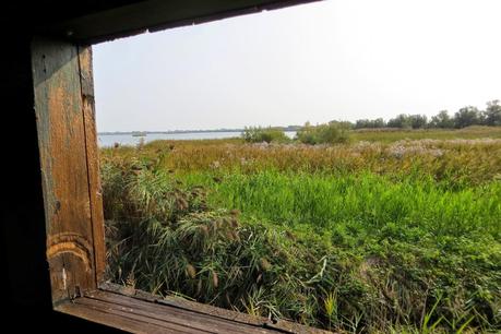 oasi wwf valle averto laguna di venezia