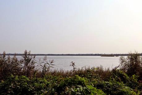 oasi wwf valle averto laguna di venezia