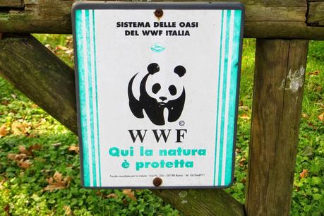 oasi wwf valle averto laguna di venezia