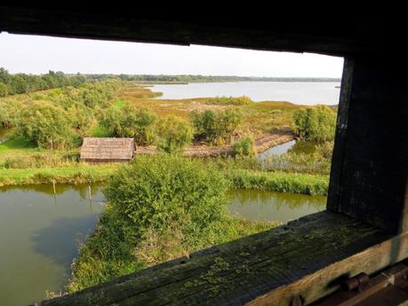 oasi wwf valle averto laguna di venezia