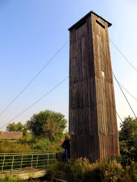 oasi wwf valle averto laguna di venezia